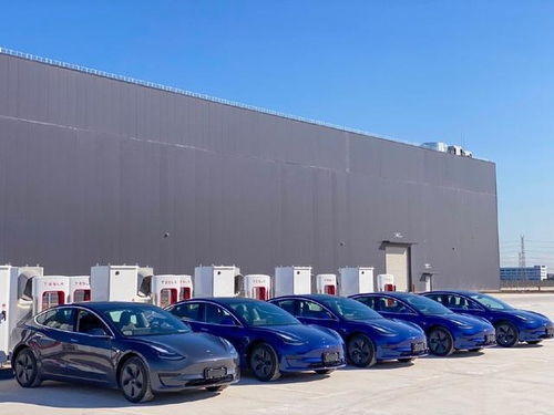 讓蔚來們冒汗的還在后頭 研報稱國產(chǎn)特斯拉還有30 降價空間