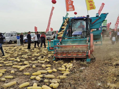 聚焦綠色農(nóng)業(yè) 第四屆中國(guó)農(nóng)機(jī)那達(dá)慕暨殘膜機(jī)械回收現(xiàn)場(chǎng)會(huì)在臨河開(kāi)幕